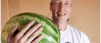 арбуз буянов олег