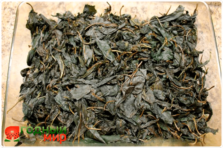 листья на чай