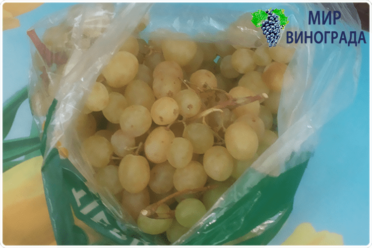 пакеты с виноградом