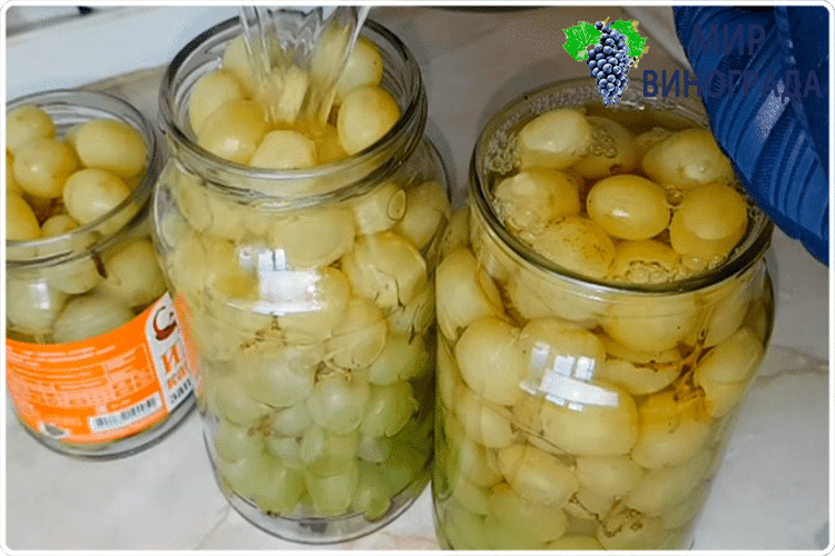 виноград для мариновки