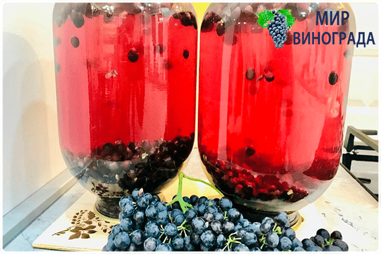 компот из винограда
