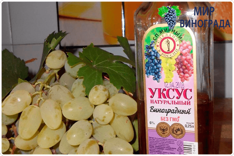 виноградный уксус